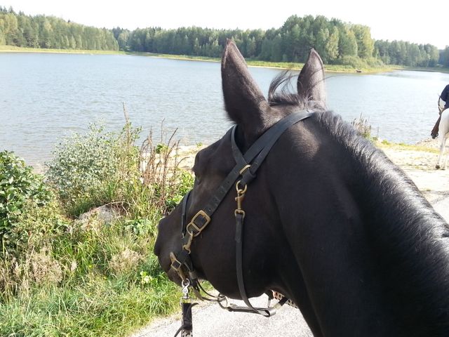 Kajetan