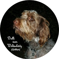 Dolli