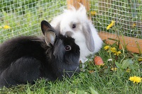 Nina und Joey