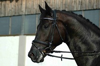Kajetan