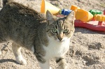 MinnieMann