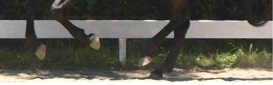 "Reiten ist mehr als nur Sport..."
